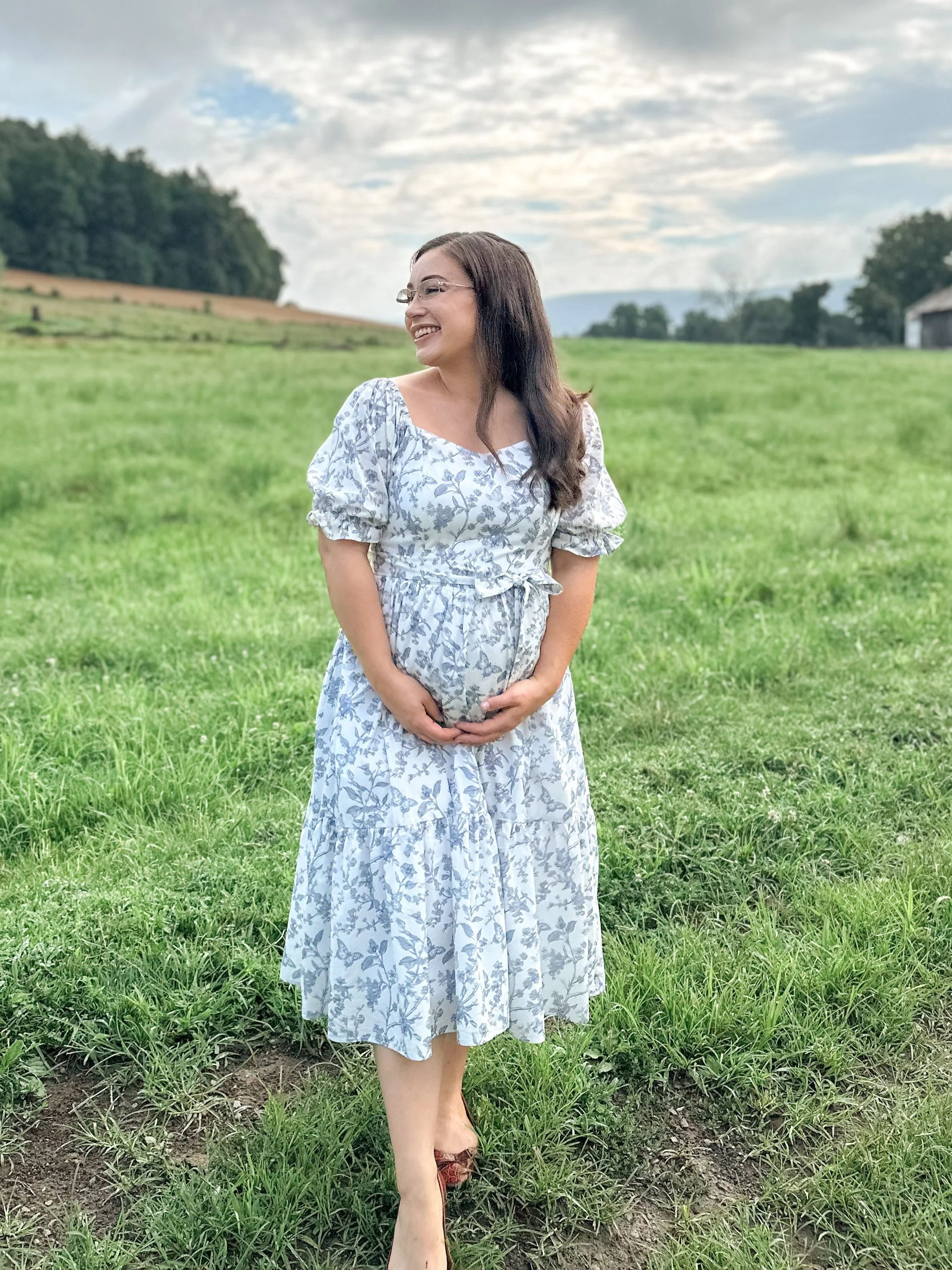 Ann Midi Dress with Nursing Zippers in Blue Toile Butterfly - Image 15